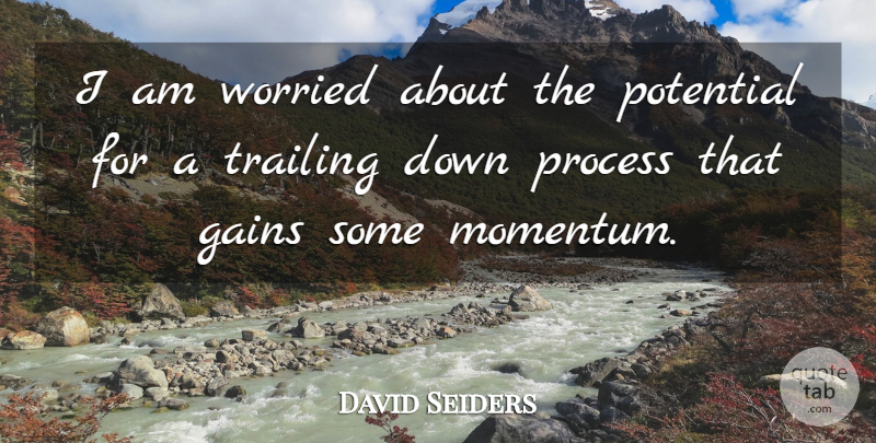 David Seiders Quote About Gains, Potential, Process, Trailing, Worried: I Am Worried About The...