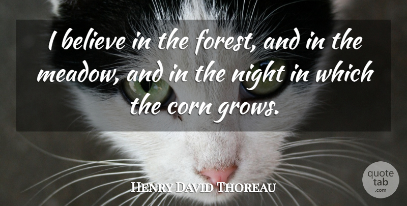 Henry David Thoreau Quote About Believe, Night, Corn: I Believe In The Forest...