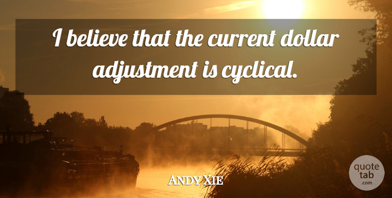 Andy Xie Quote About Adjustment, Believe, Current, Dollar: I Believe That The Current...