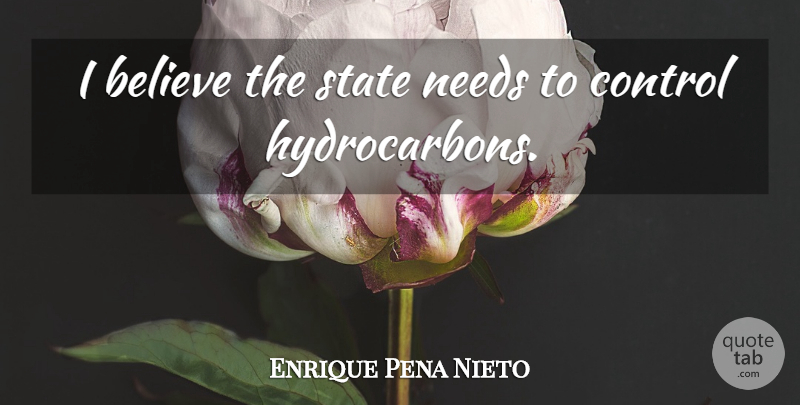 Enrique Pena Nieto Quote About Believe: I Believe The State Needs...