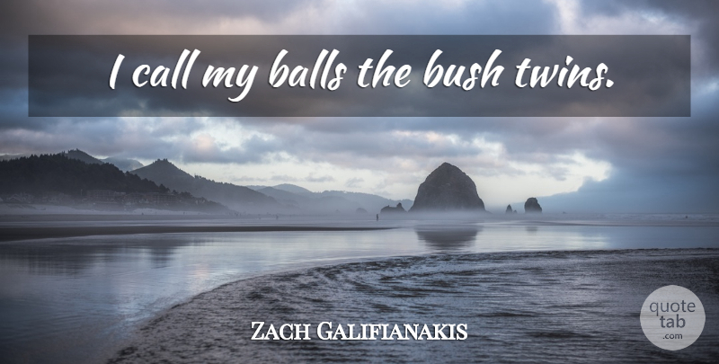 Zach Galifianakis Quote About Funny, Balls, Twins: I Call My Balls The...