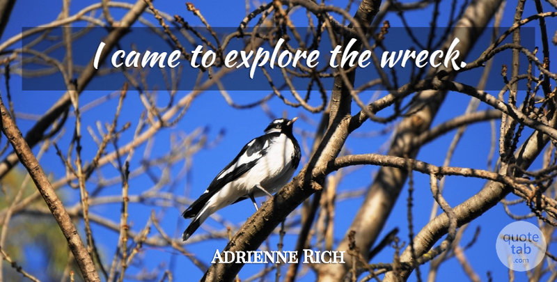 Adrienne Rich Quote About Wrecks: I Came To Explore The...