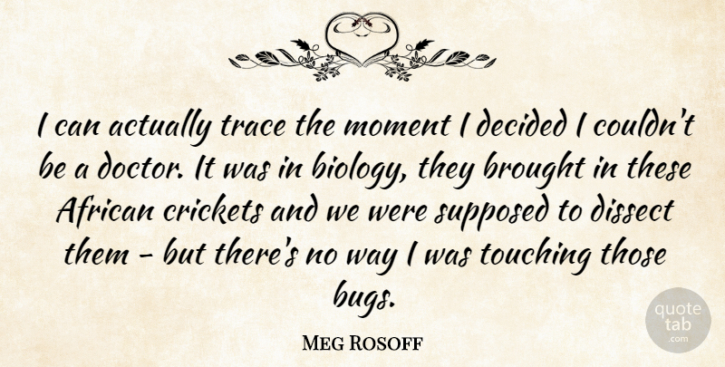 Meg Rosoff Quote About African, Brought, Decided, Dissect, Supposed: I Can Actually Trace The...