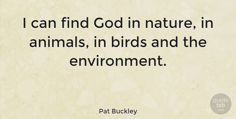 Pat Buckley Quote About Birds, Environmental, God: I Can Find God In...