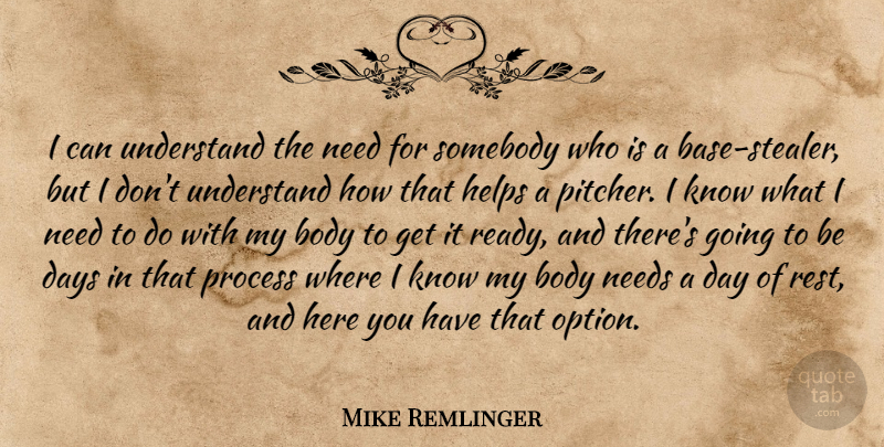 Mike Remlinger Quote About Days, Helps, Needs, Process, Somebody: I Can Understand The Need...