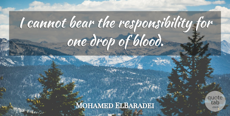 Mohamed ElBaradei Quote About Cannot, Responsibility: I Cannot Bear The Responsibility...