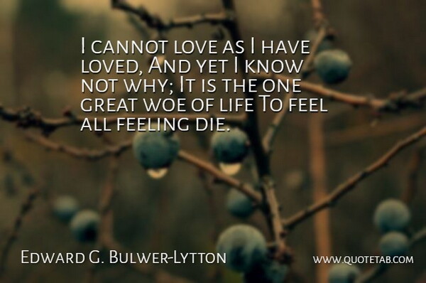 Edward G. Bulwer-Lytton Quote About Cannot, Feeling, Great, Life, Love: I Cannot Love As I...