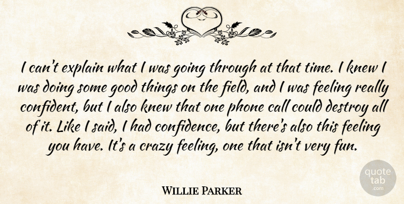 Willie Parker Quote About Call, Crazy, Destroy, Explain, Feeling: I Cant Explain What I...