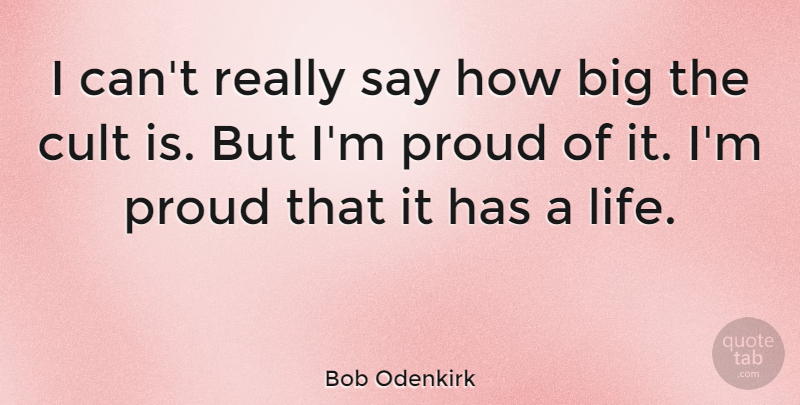 Bob Odenkirk Quote About undefined: I Cant Really Say How...