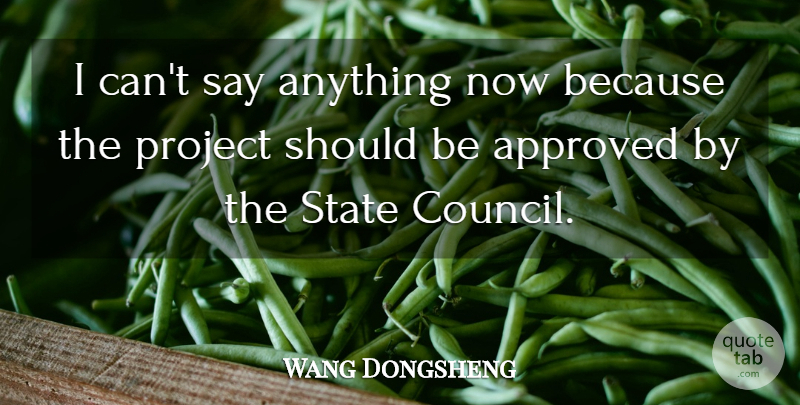 Wang Dongsheng Quote About Approved, Project, State: I Cant Say Anything Now...