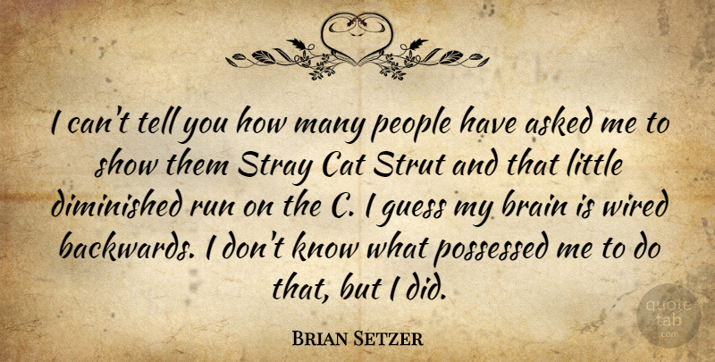 Brian Setzer Quote About Running, Cat, People: I Cant Tell You How...