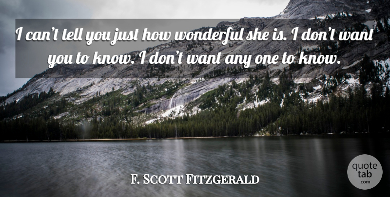 F. Scott Fitzgerald Quote About Want, Wonderful, I Can: I Cant Tell You Just...