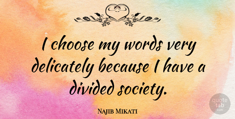 Najib Mikati Quote About Divided, Society: I Choose My Words Very...