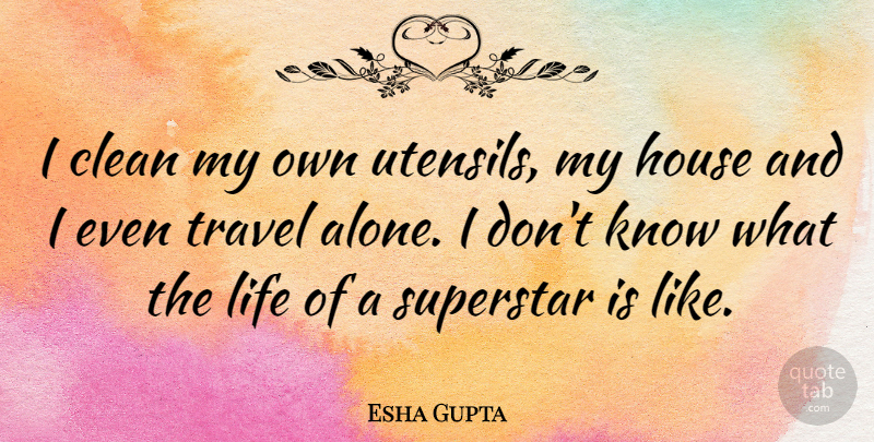Esha Gupta Quote About House, Utensils, Superstar: I Clean My Own Utensils...