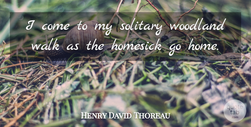 Henry David Thoreau Quote About Nature, Home, Solitary: I Come To My Solitary...
