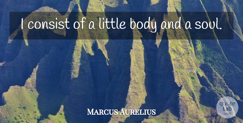 Marcus Aurelius Quote About Soul, Littles, Body: I Consist Of A Little...
