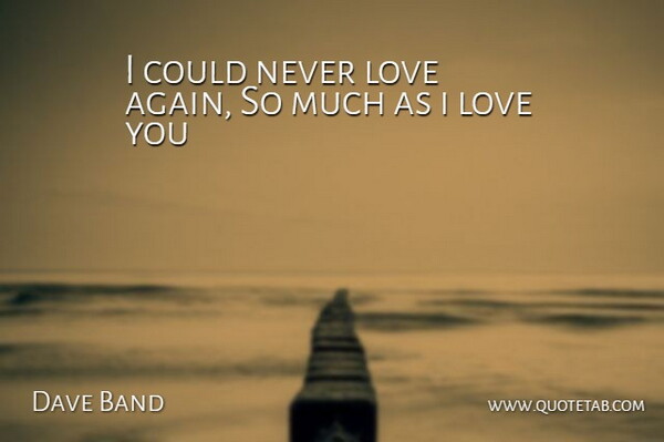Dave Band Quote About Love: I Could Never Love Again...