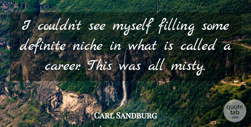 Carl Sandburg Quote About Careers, Fog, Literature: I Couldnt See Myself Filling...