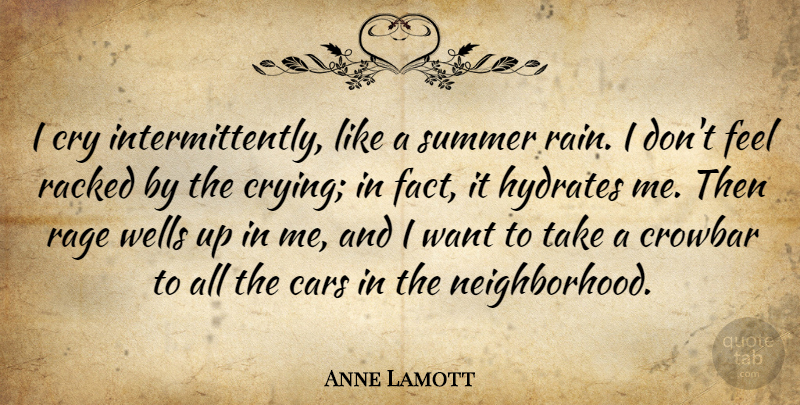 Anne Lamott Quote About Summer, Rain, Car: I Cry Intermittently Like A...