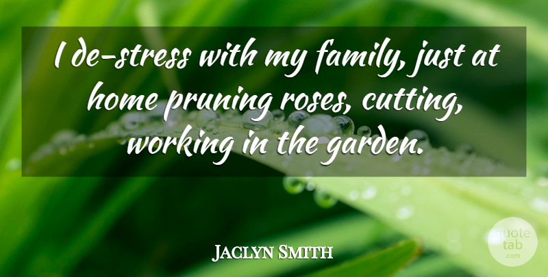 Jaclyn Smith Quote About Family, Home: I De Stress With My...