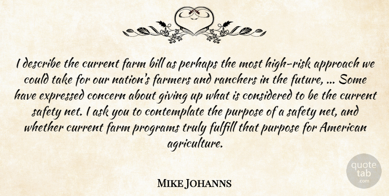 Mike Johanns Quote About Approach, Ask, Bill, Concern, Considered: I Describe The Current Farm...