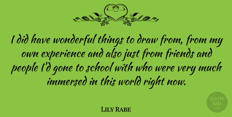 Lily Rabe Quote About School, People, Gone: I Did Have Wonderful Things...