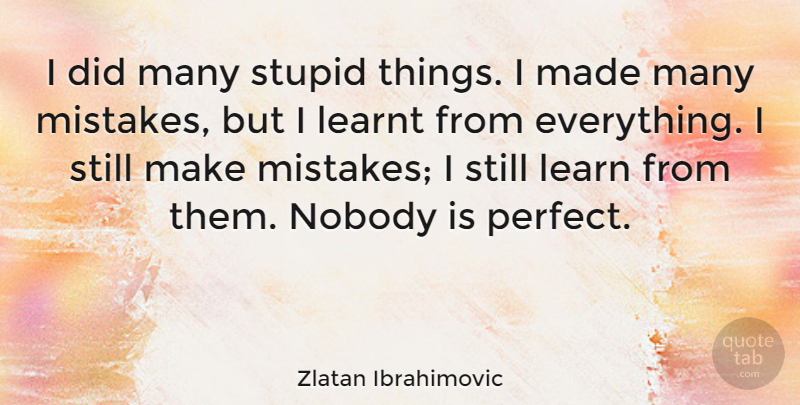 Zlatan Ibrahimovic Quote About Learnt, Nobody: I Did Many Stupid Things...