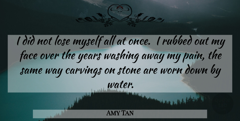 Amy Tan Quote About Face, Lose, Pain, Stone, Washing: I Did Not Lose Myself...