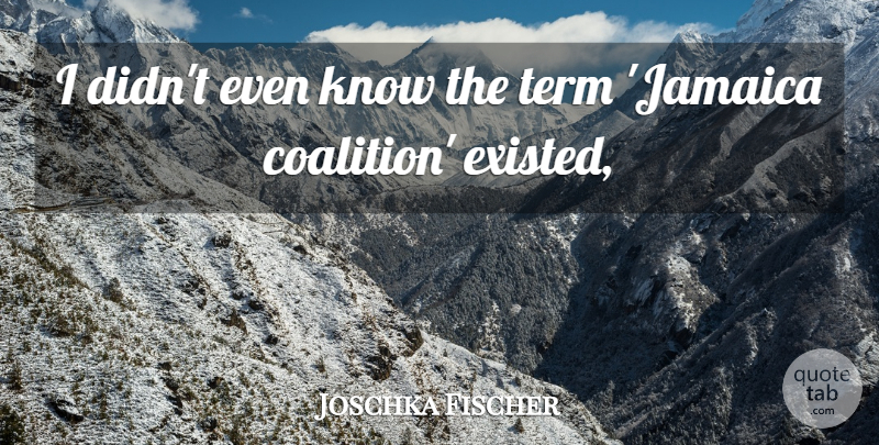Joschka Fischer Quote About Term: I Didnt Even Know The...