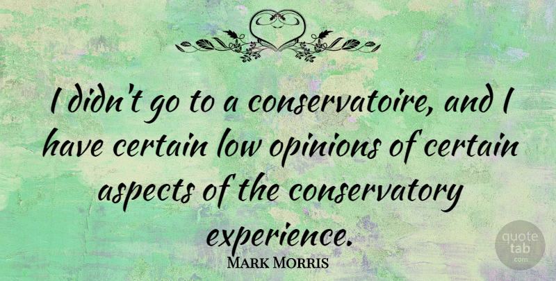 Mark Morris Quote About Opinion, Aspect, Certain: I Didnt Go To A...