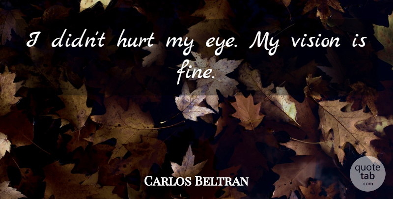 Carlos Beltran Quote About Hurt, Vision: I Didnt Hurt My Eye...