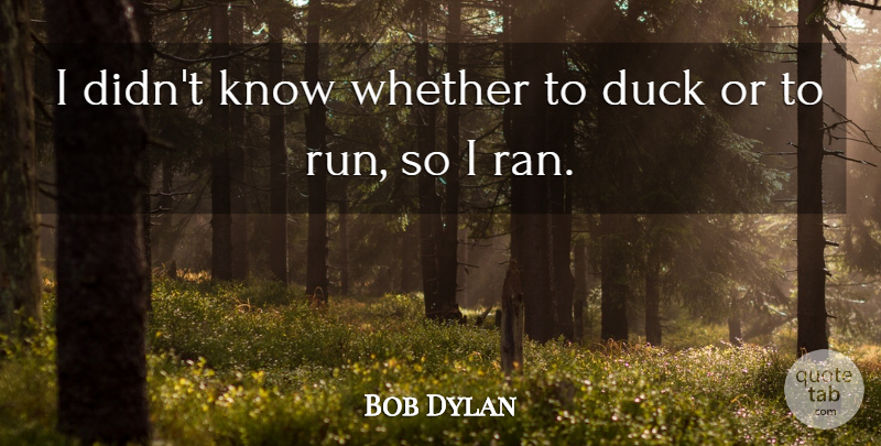 Bob Dylan Quote About Running, Ducks, Politics: I Didnt Know Whether To...