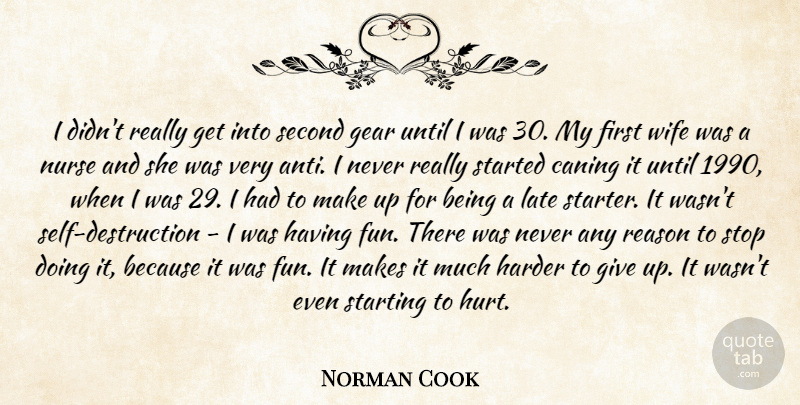 Norman Cook Quote About Gear, Harder, Late, Nurse, Reason: I Didnt Really Get Into...