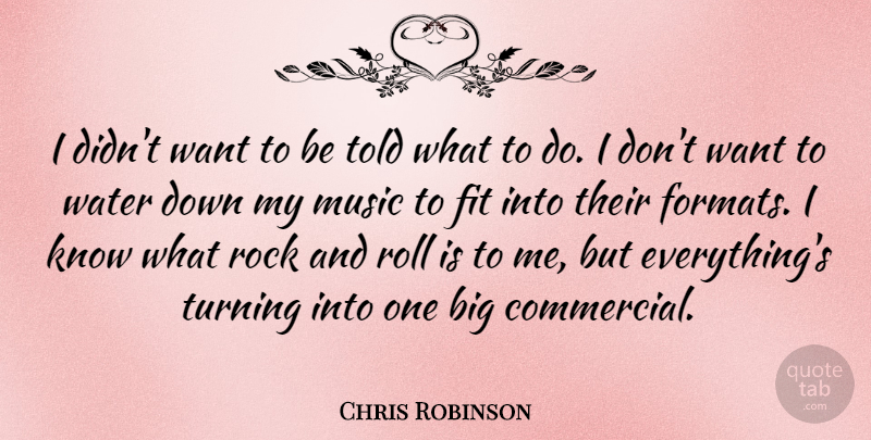 Chris Robinson Quote About Rocks, Rock And Roll, Water: I Didnt Want To Be...