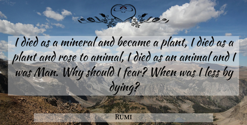 Rumi Quote About Death, Wisdom, Fear: I Died As A Mineral...