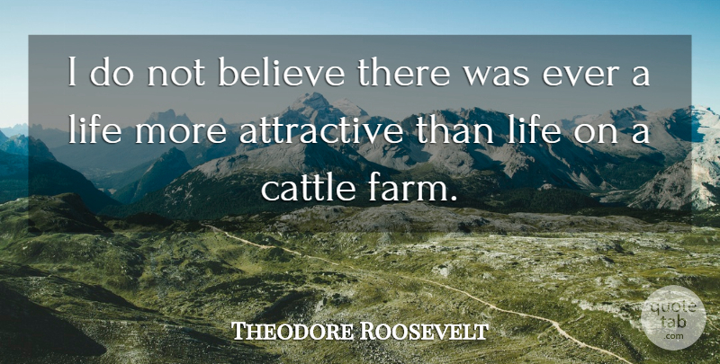 Theodore Roosevelt Quote About Believe, Attractive, Cattle: I Do Not Believe There...