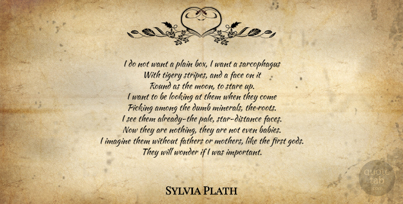 Sylvia Plath Quote About Mother, Baby, Stars: I Do Not Want A...