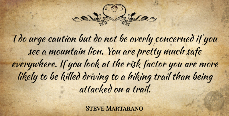 Steve Martarano Quote About Attacked, Caution, Concerned, Driving, Factor: I Do Urge Caution But...