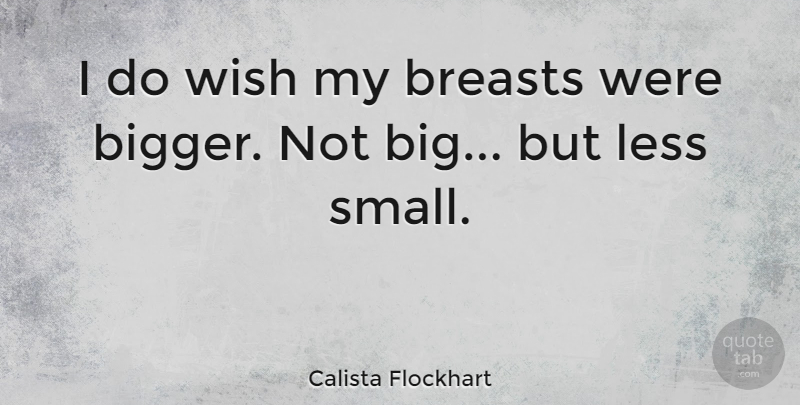 Calista Flockhart Quote About Wish, Bigs, Bigger: I Do Wish My Breasts...