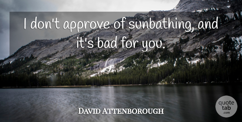 David Attenborough Quote About Appreciate, Sunbathing: I Dont Approve Of Sunbathing...