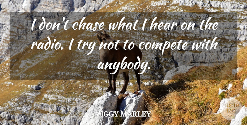 Ziggy Marley Quote About Trying, Radio: I Dont Chase What I...