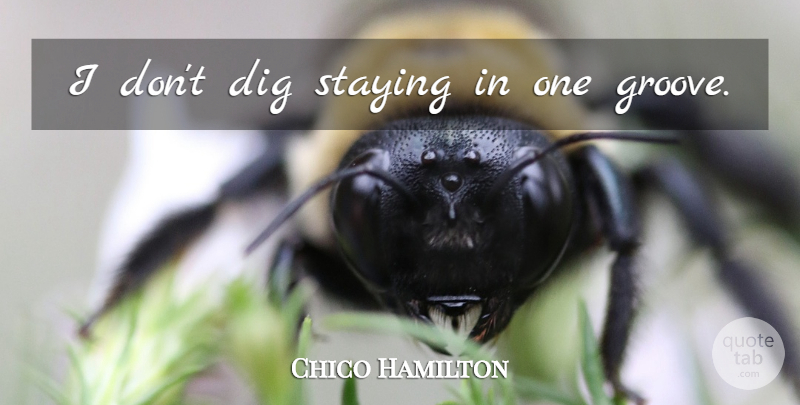 Chico Hamilton Quote About Music, Groove, Staying: I Dont Dig Staying In...