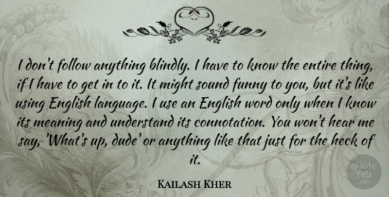 Kailash Kher Quote About English, Entire, Follow, Funny, Hear: I Dont Follow Anything Blindly...