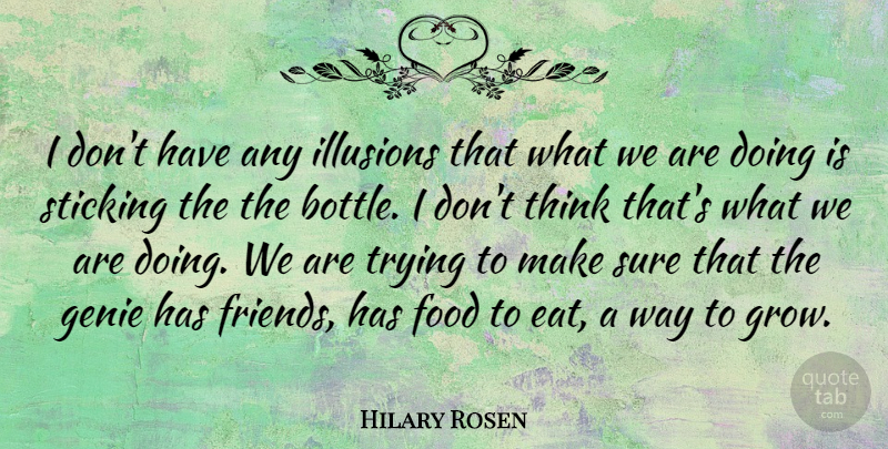 Hilary Rosen Quote About American Businessman, Food, Genie, Illusions, Sticking: I Dont Have Any Illusions...