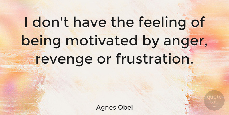 Agnes Obel Quote About Revenge, Frustration, Feelings: I Dont Have The Feeling...