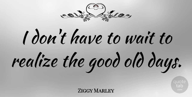 Ziggy Marley Quote About Waiting, Realizing, Old Days: I Dont Have To Wait...