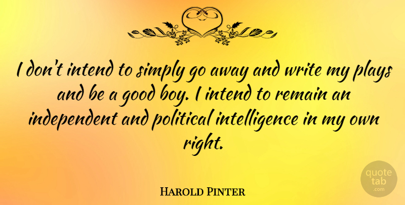 Harold Pinter Quote About Independent, Writing, Boys: I Dont Intend To Simply...