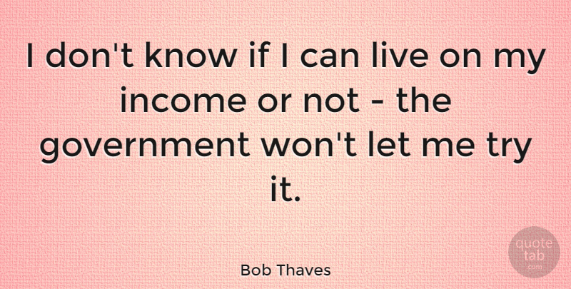 Bob Thaves Quote About Government, Trying, Income: I Dont Know If I...