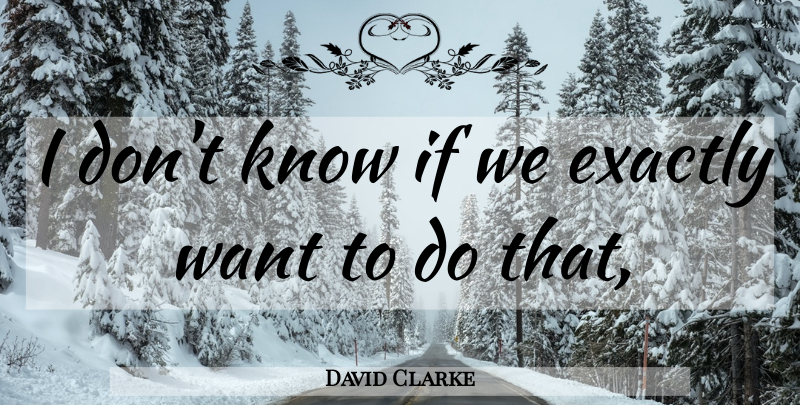 David Clarke Quote About Exactly: I Dont Know If We...