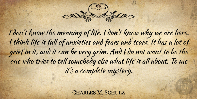 Charles M. Schulz Quote About Grief, Thinking, Anxiety: I Dont Know The Meaning...